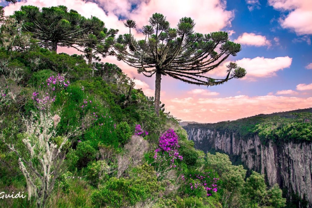 Cambará do Sul_RS paisagem encantadora