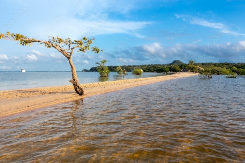 Para uma viagem inesquecível é importante estar atento