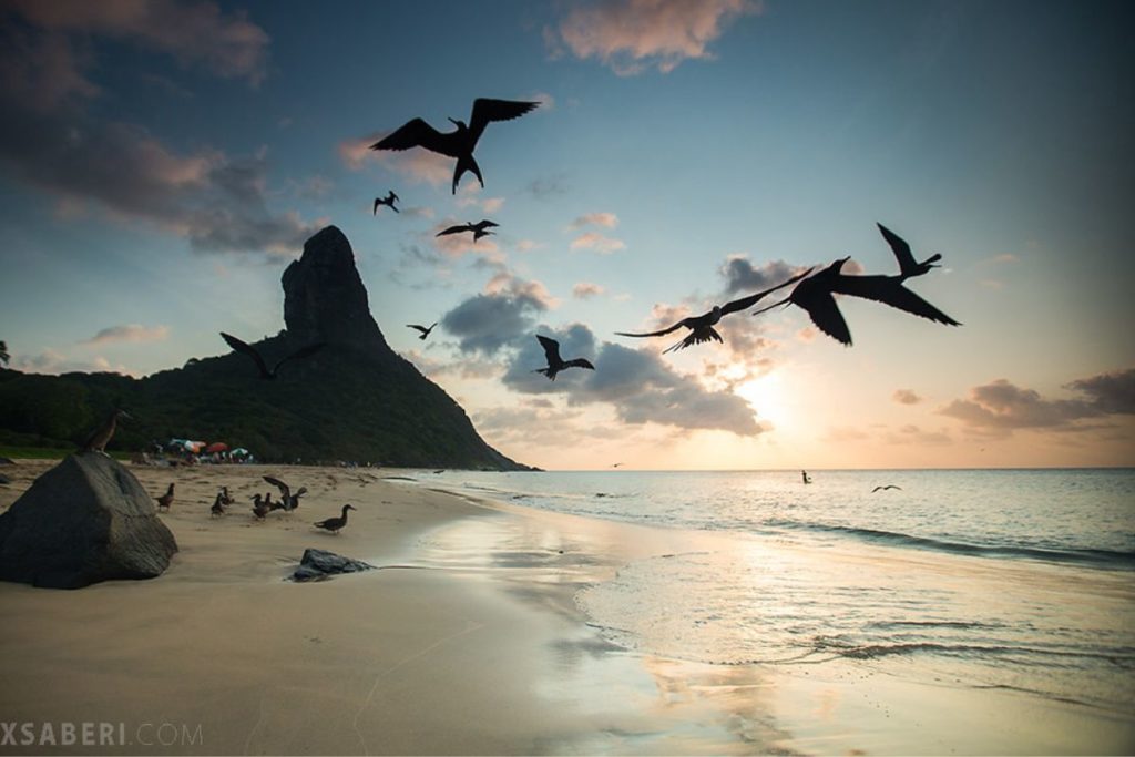 Praias de Areia Branca e Águas Cristalinas